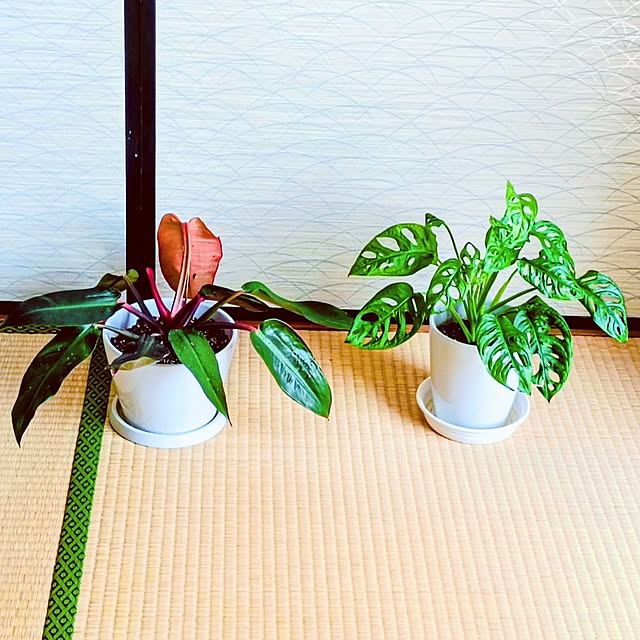 hanachanさんの部屋