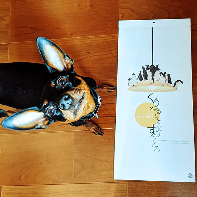 shizuponさんの実例写真