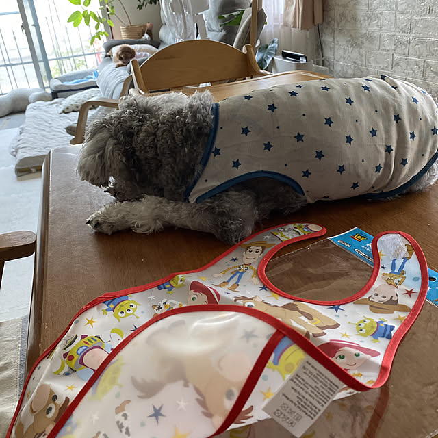alchoさんの実例写真