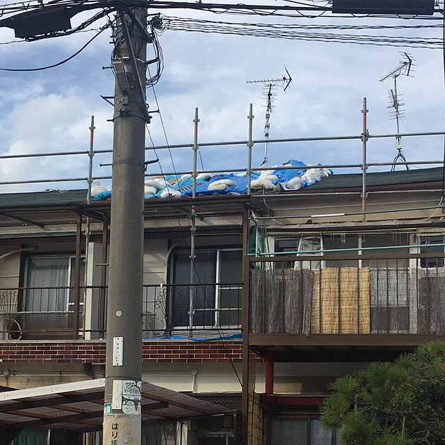 実例写真