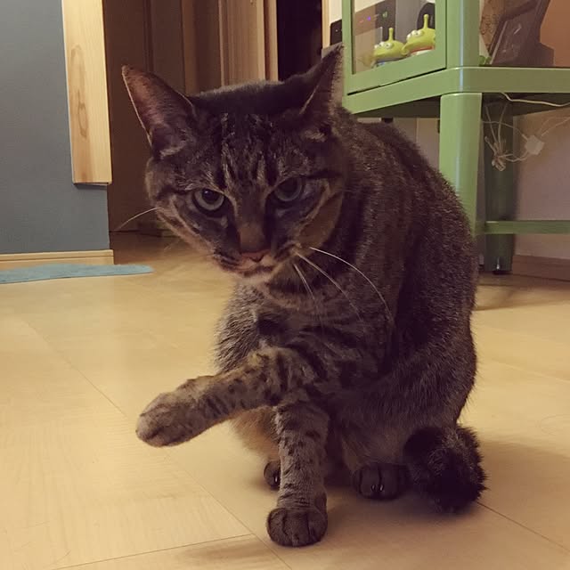 Tabasaさんの実例写真