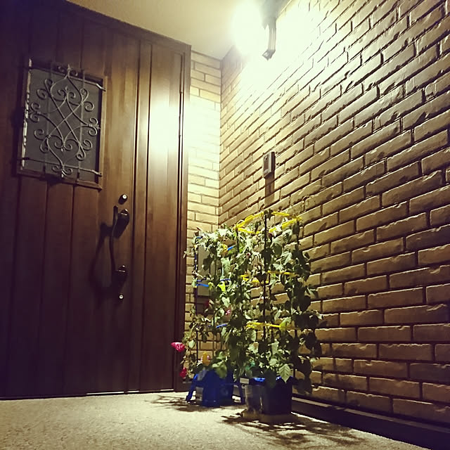 kooliberoさんの実例写真