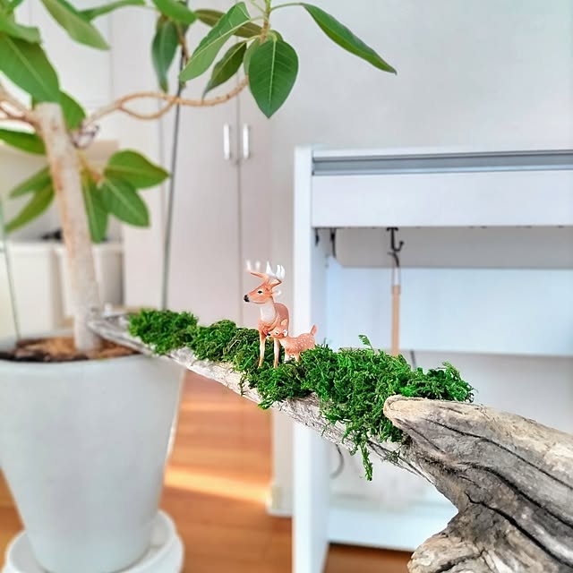 Haさんの部屋