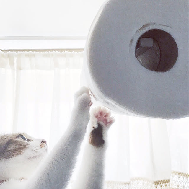 mya___kさんの実例写真