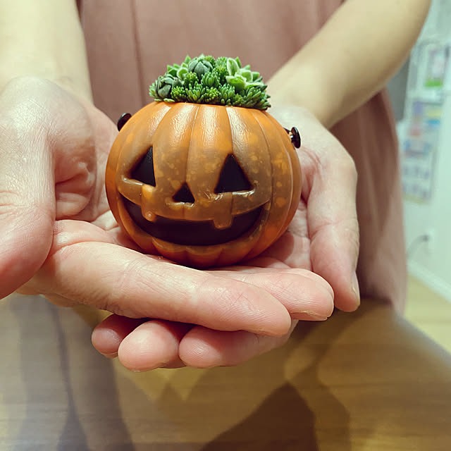 okapiさんの実例写真