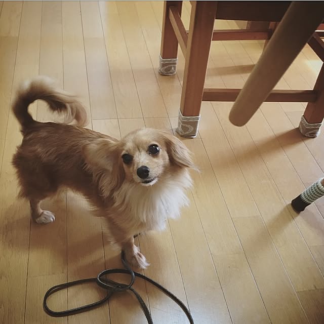 emiさんの実例写真