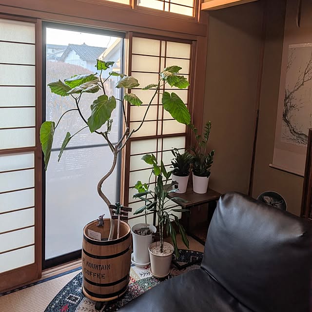 naoporonさんの部屋