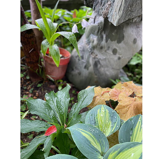 buchiさんの部屋
