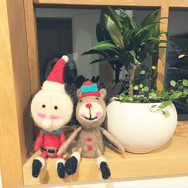 cha-rinさんの実例写真