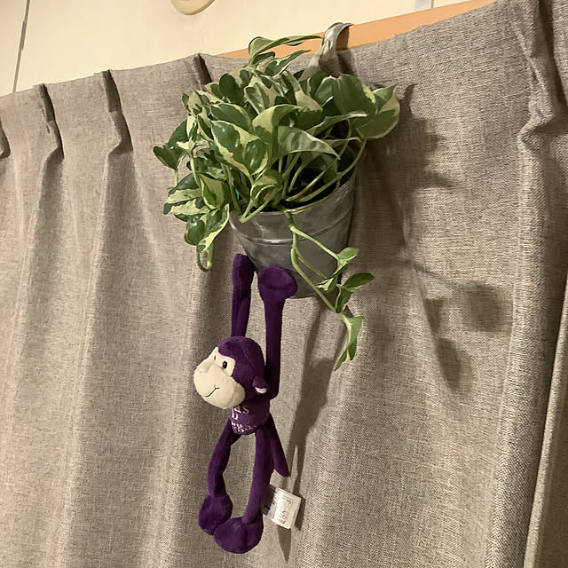 eiさんの実例写真
