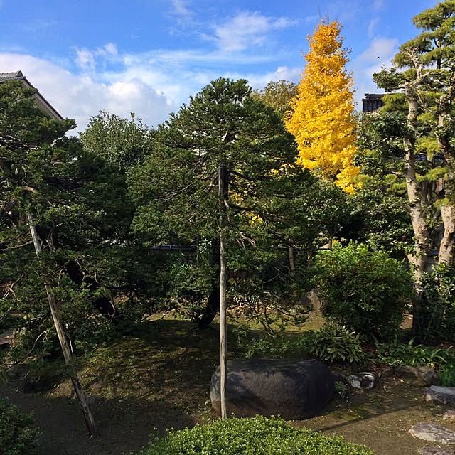 1616roomさんの実例写真