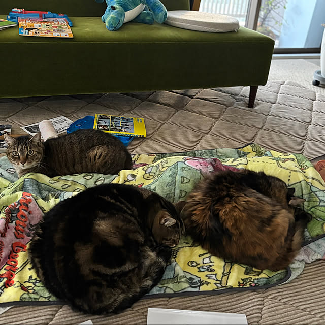 mikomaruさんの部屋