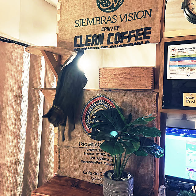 Mさんの部屋