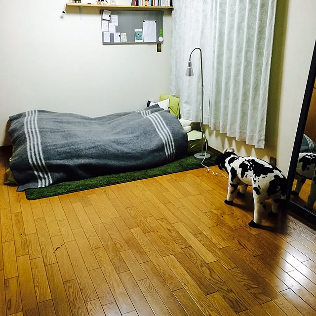 shiroさんの実例写真