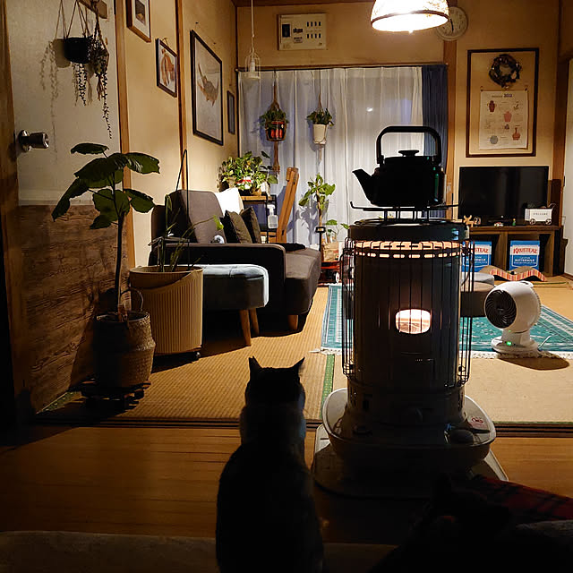 fukuさんの実例写真