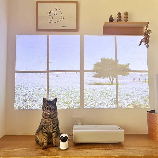puu.tuuliさんの部屋
