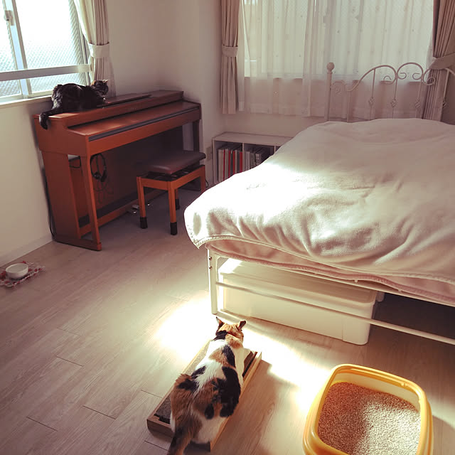 nekoさんの実例写真