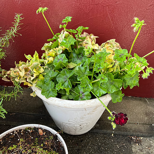 AYUKOさんの部屋