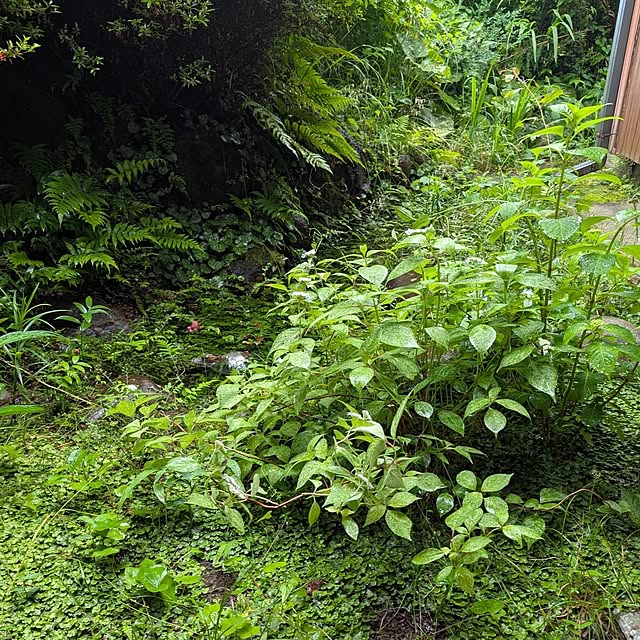 --rnrmm--さんの実例写真