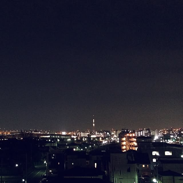 実例写真