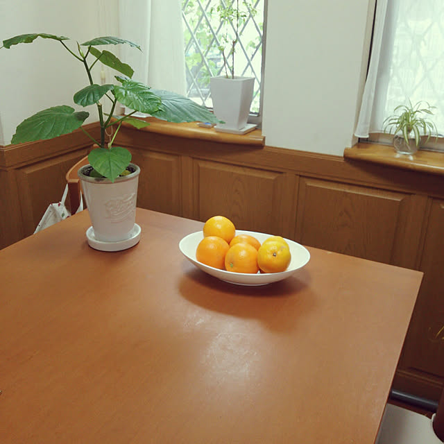 Yumikoさんの実例写真
