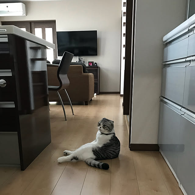 Dahliaさんの実例写真