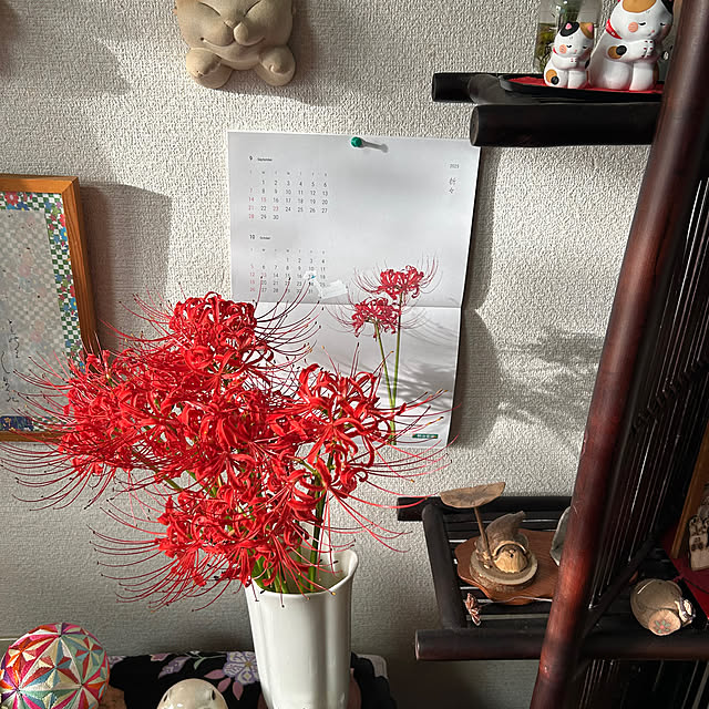 ritsukoさんの部屋