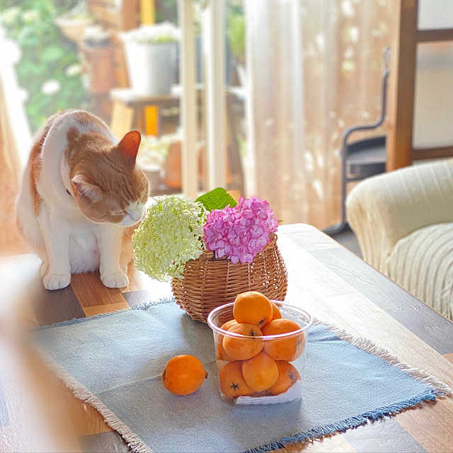mintteaさんの実例写真