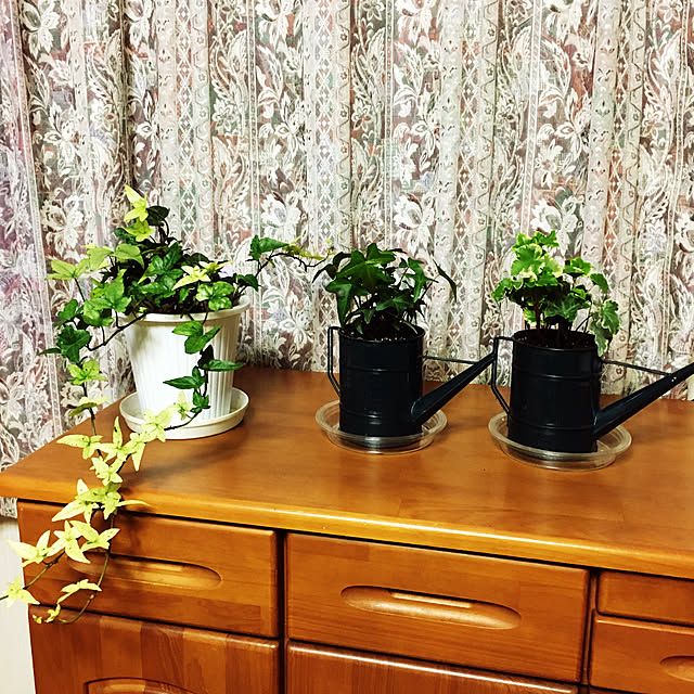 観葉植物/棚のインテリア実例 - 2020-01-18 19:59:08