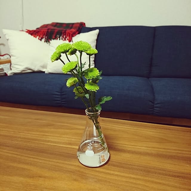 sakanaさんの実例写真