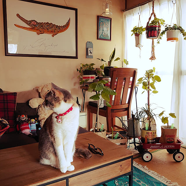 fukuさんの実例写真