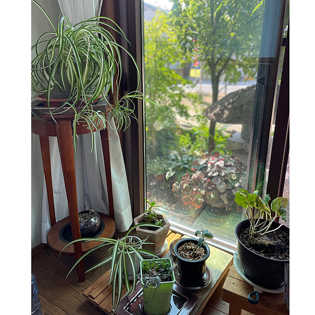 buchiさんの部屋
