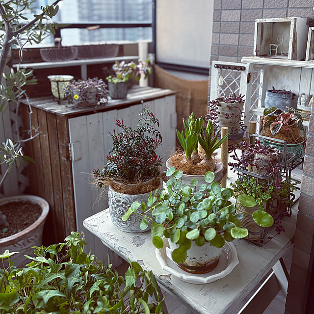 momo_sanさんの実例写真