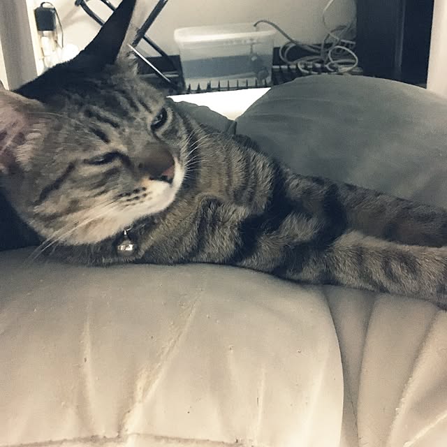 sayasさんの実例写真