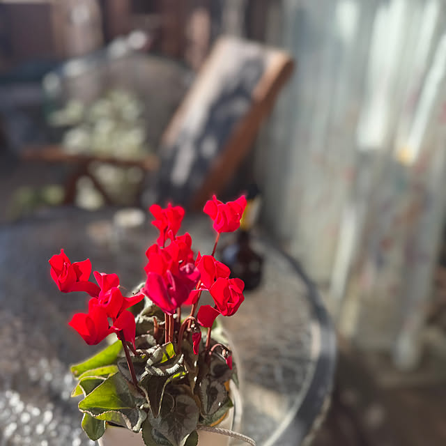 okyosan101さんの部屋