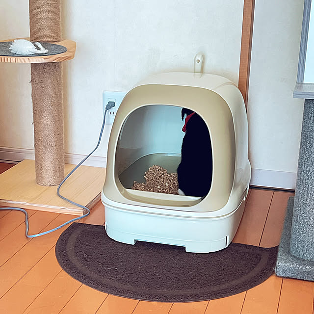 moolさんの部屋