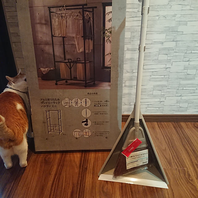 porinさんの実例写真