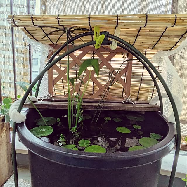 mi-saさんの部屋