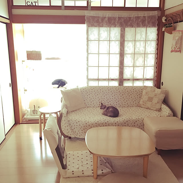 Kaoriさんの実例写真