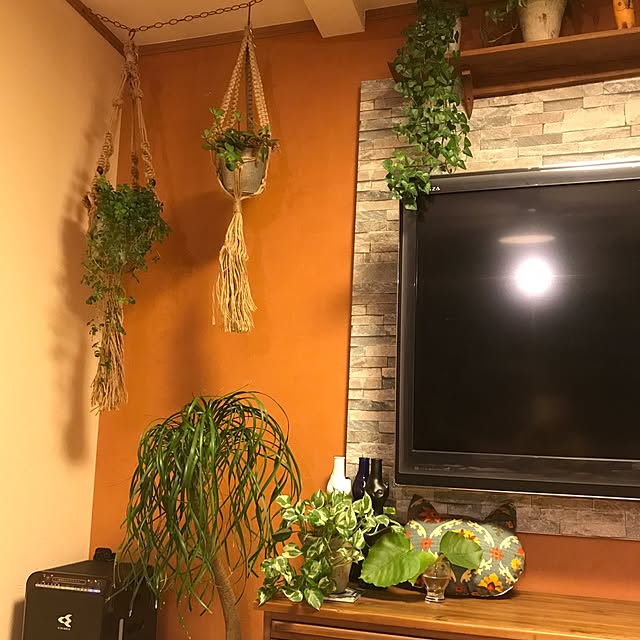 棚/アクタス/観葉植物/カフェ風のインテリア実例 - 2017-05-25 19:55:05
