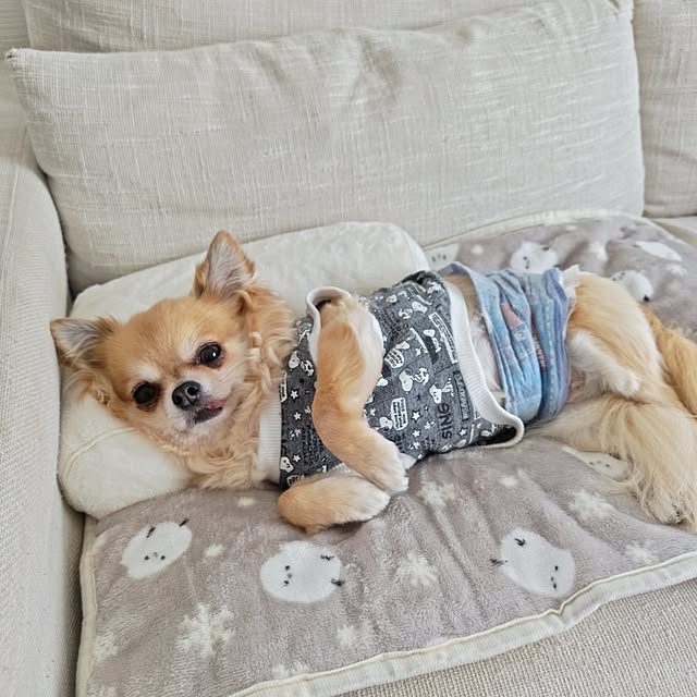 kojikojiさんの実例写真