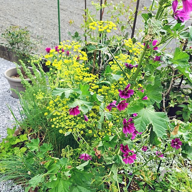 mutsuさんの部屋