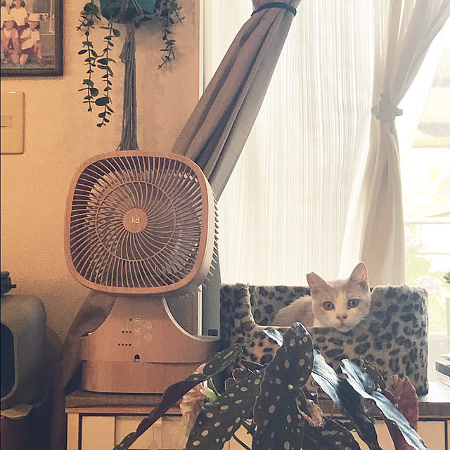 kou-kitiさんの実例写真