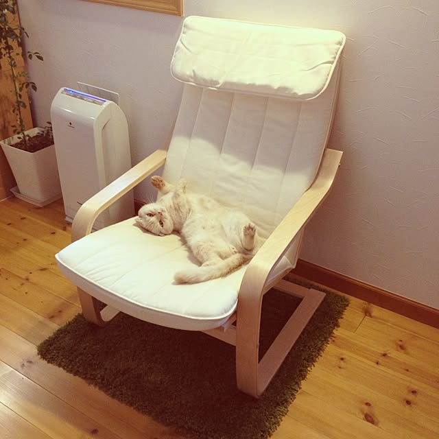yucoさんの実例写真