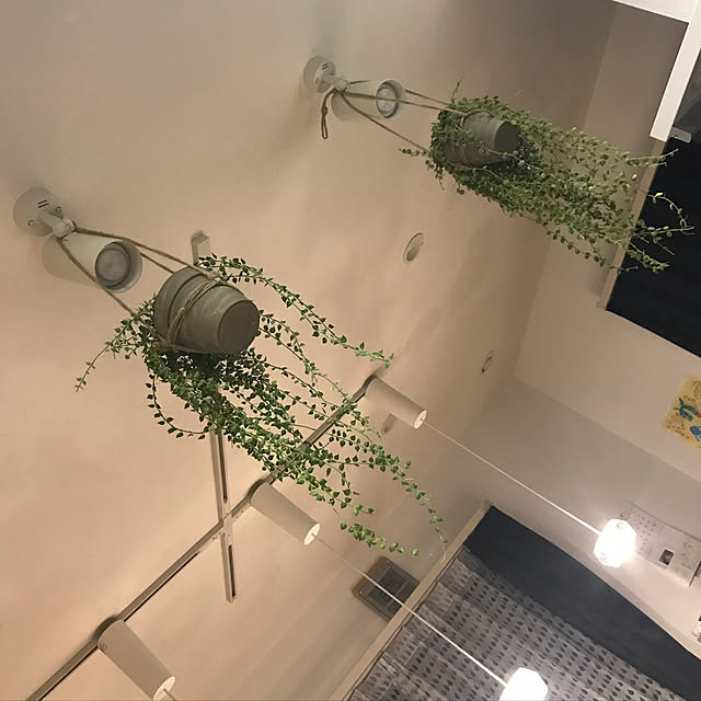 erika0315さんの実例写真