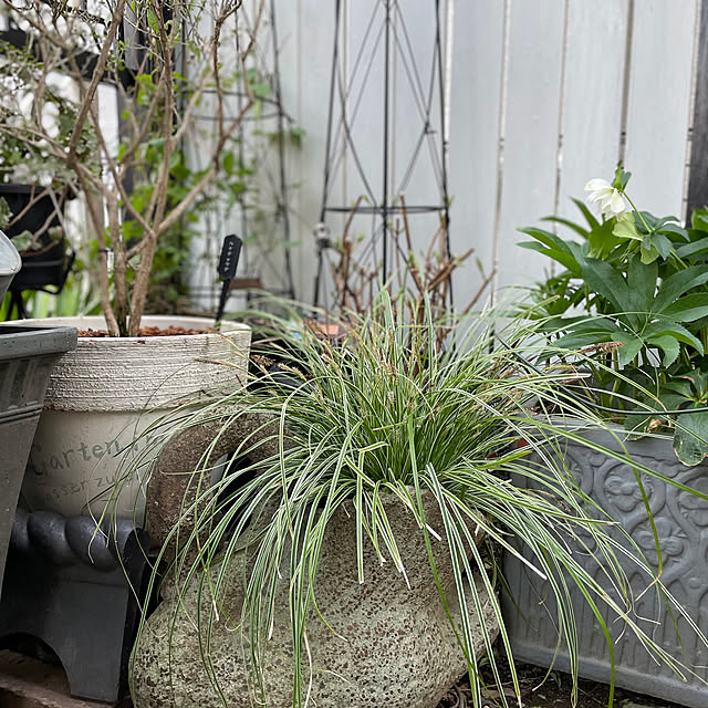 shiropenguinさんの部屋