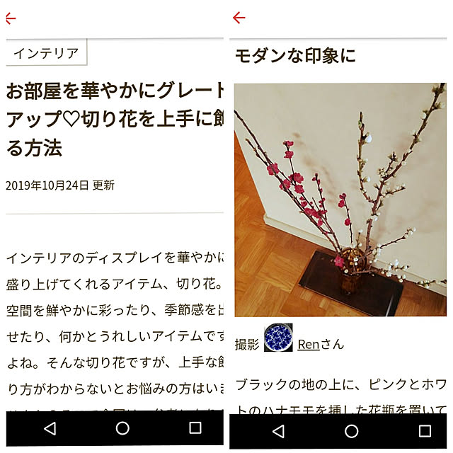 Renさんの実例写真