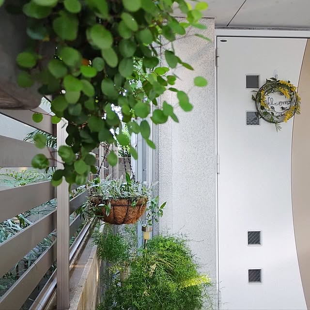 jinさんの部屋