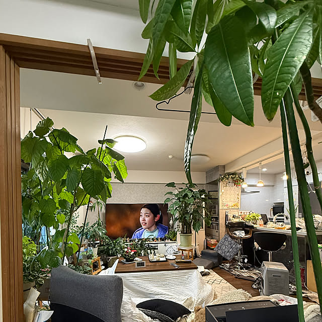 Aqettyさんの実例写真