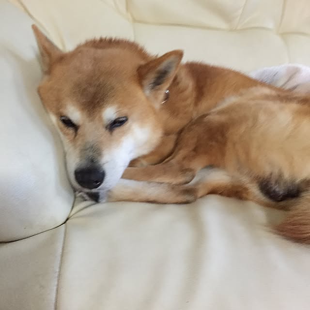 moririnさんの実例写真